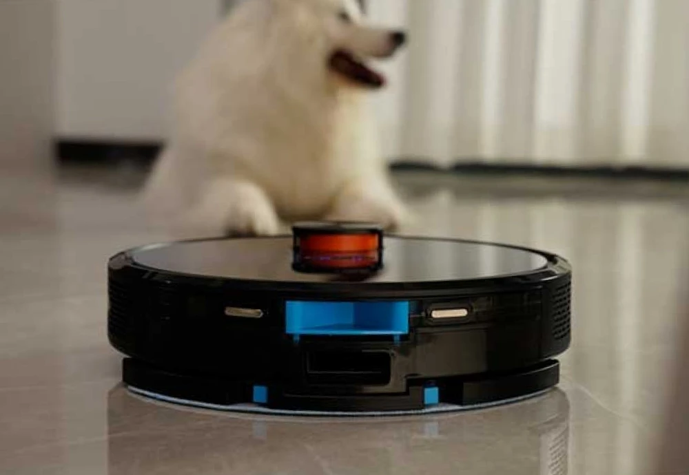 affordable robot vacuum cleaner